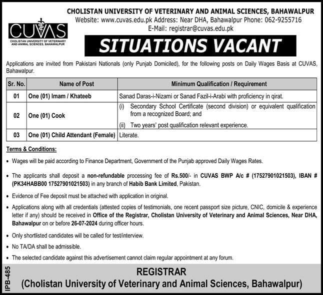 Available Jobs At CUVAS Bahawalpur