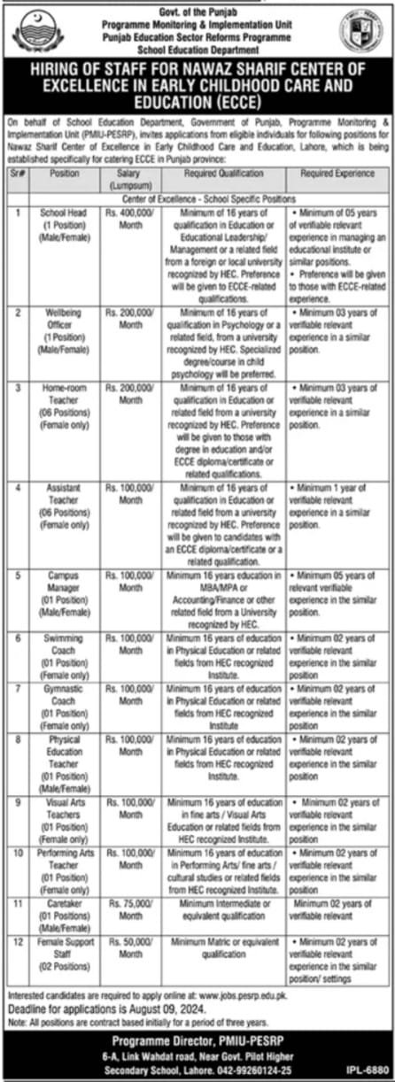 Program Monitoring And Implementation Unit PMIU Jobs