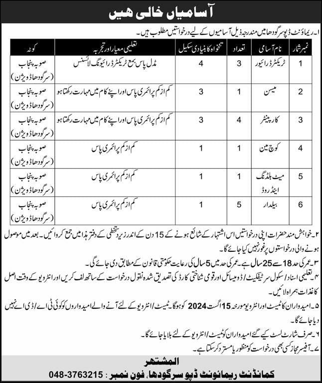 Government Jobs In Sargodha Punjab Pakistan For Coachman