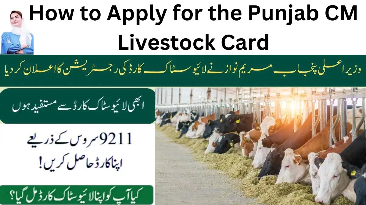 How to Apply for the Punjab CM Livestock Card