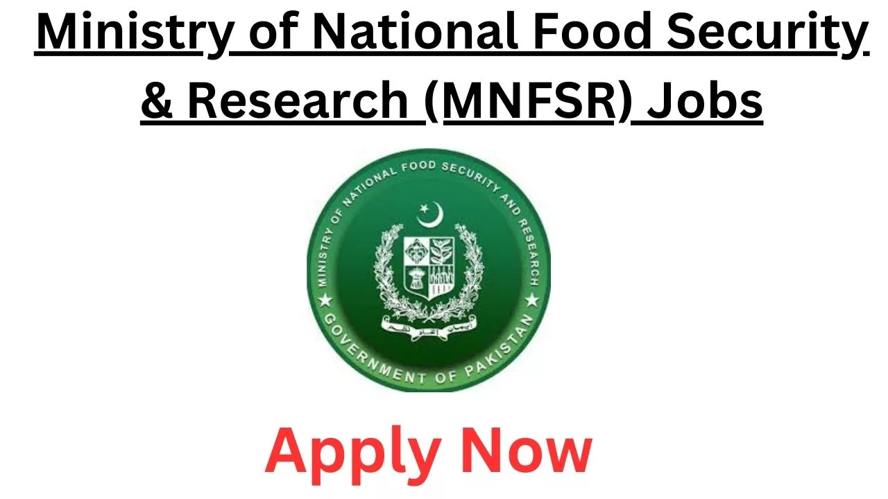 Government Jobs In Pakistan Today For Cashier