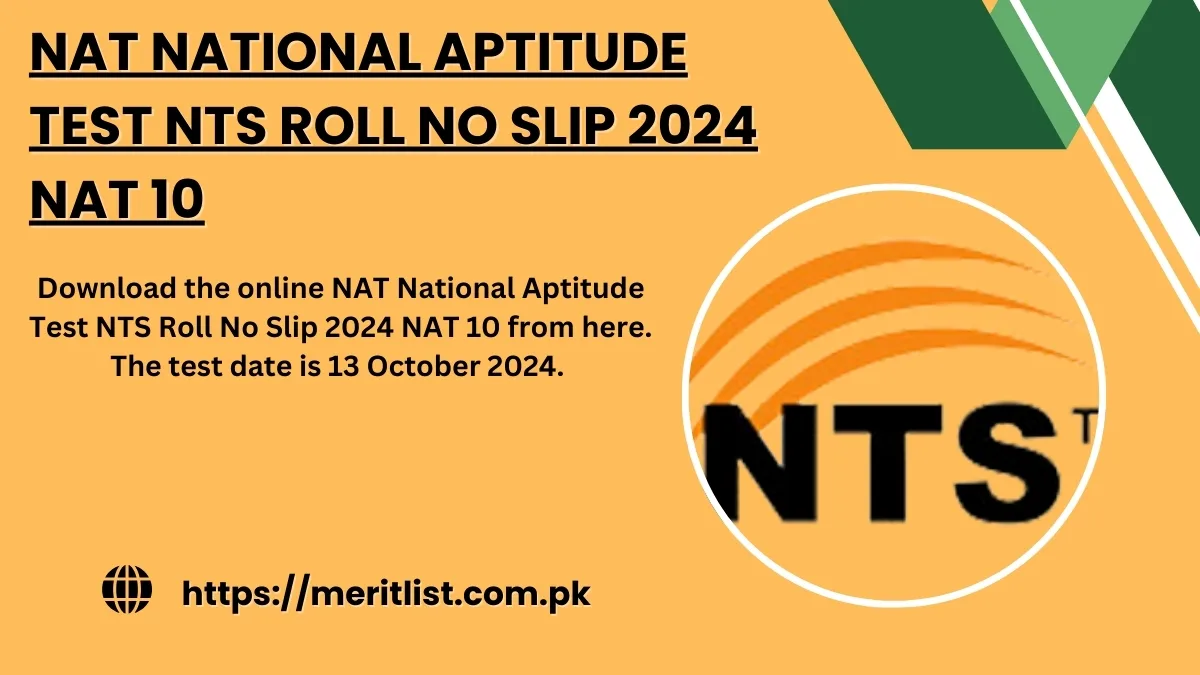 NAT National Aptitude Test NTS Roll No Slip 2024 NAT 10