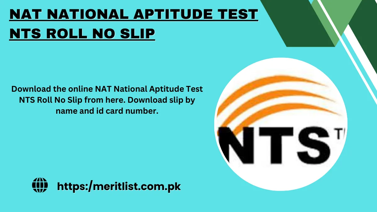NAT National Aptitude Test NTS Roll No Slip 2024 NAT 12