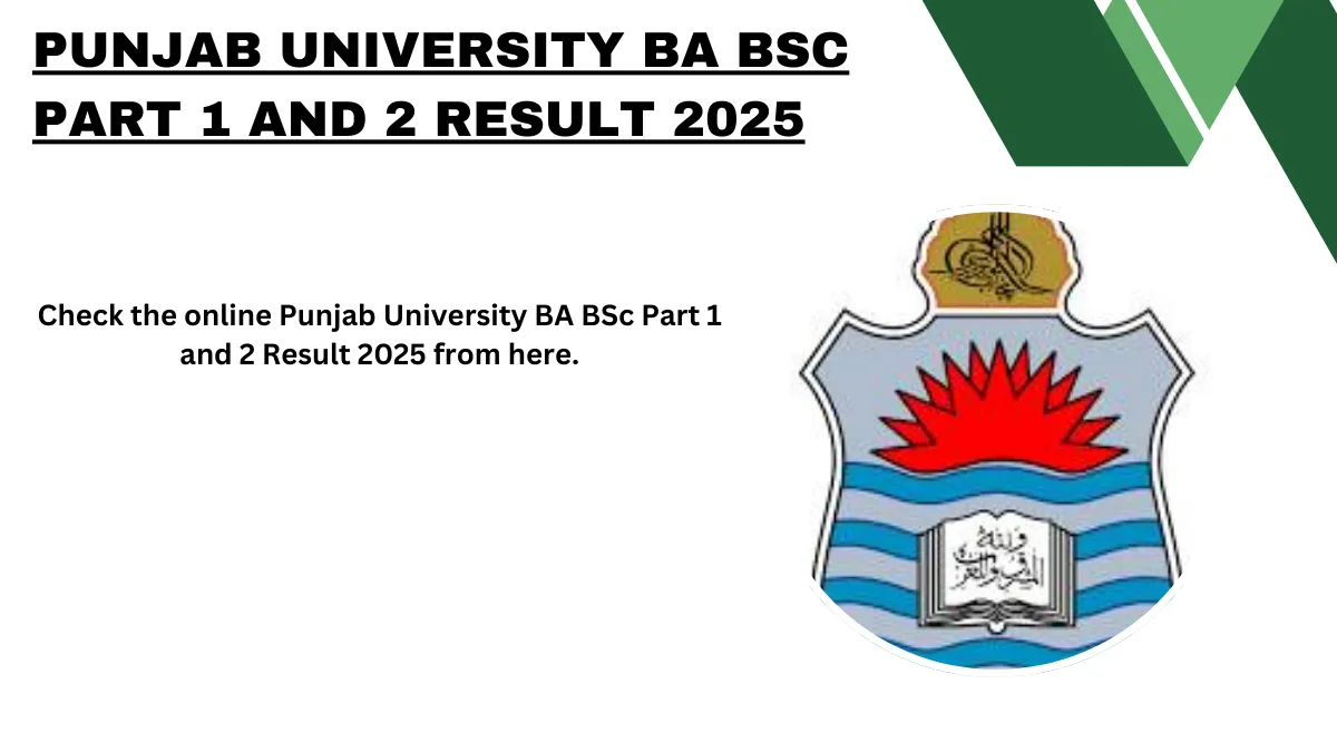 Punjab University BA BSc Part 1 and 2 Result 2025