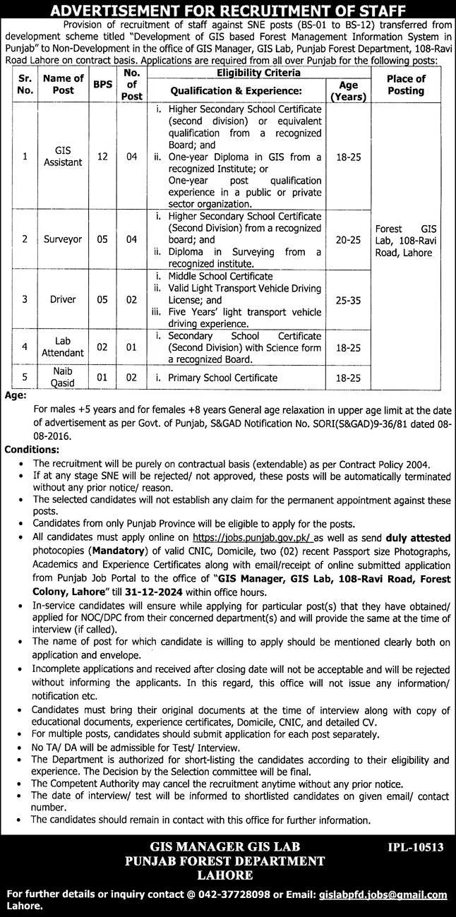 Govt Jobs In Lahore Today For GIS Assistant