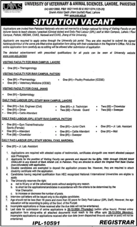 Government Jobs In Lahore Today For Attendant