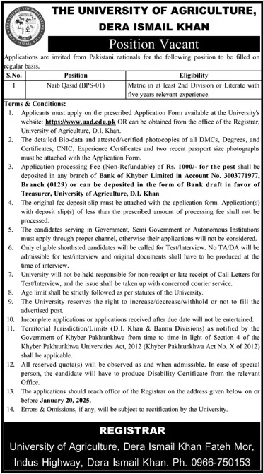 Government Jobs In Dera Ismail Khan Today For Office Boy